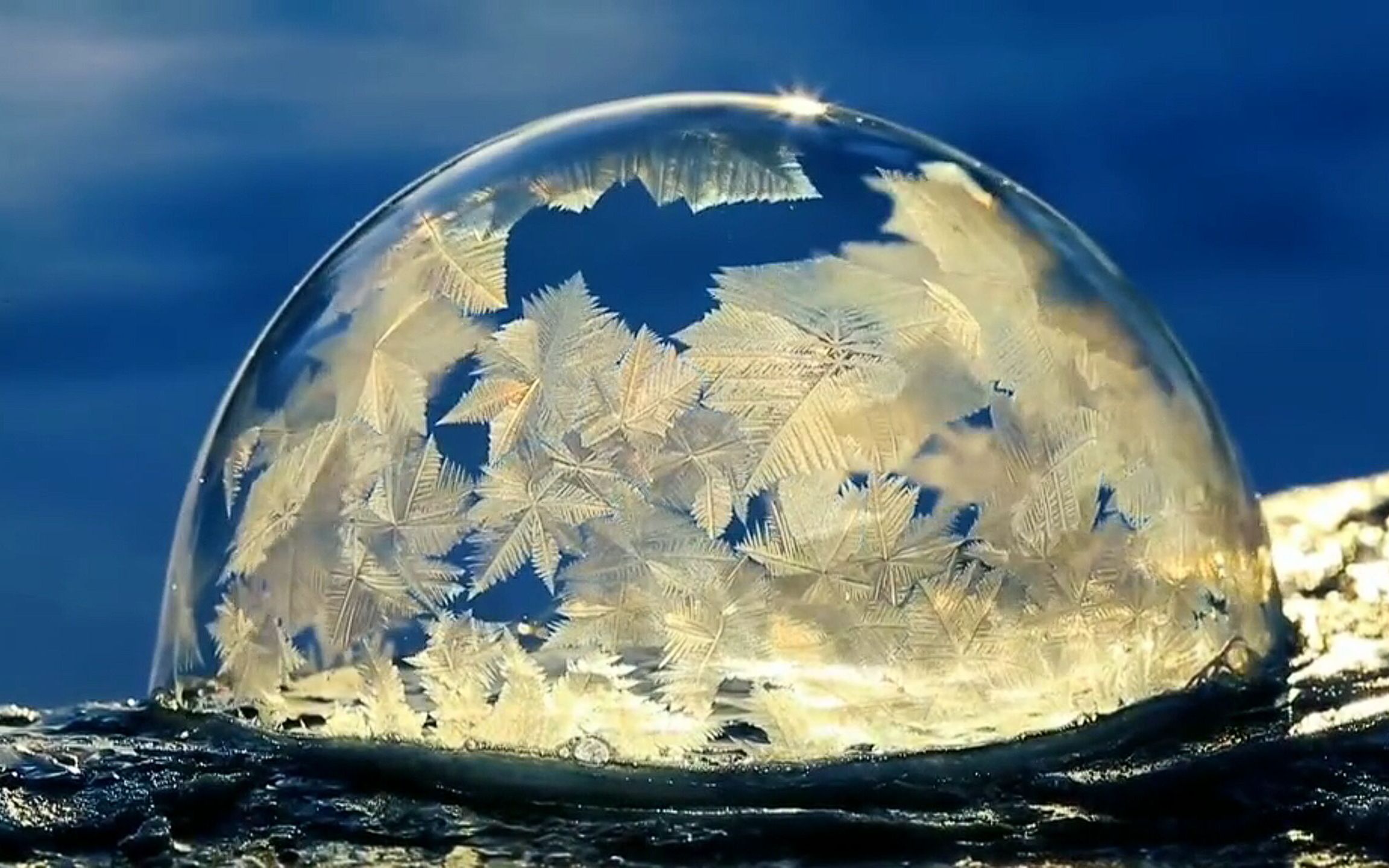 "被眼前的一幕治愈到了,低温下的冰冻泡泡真的好美啊～"-水果不吃果皮