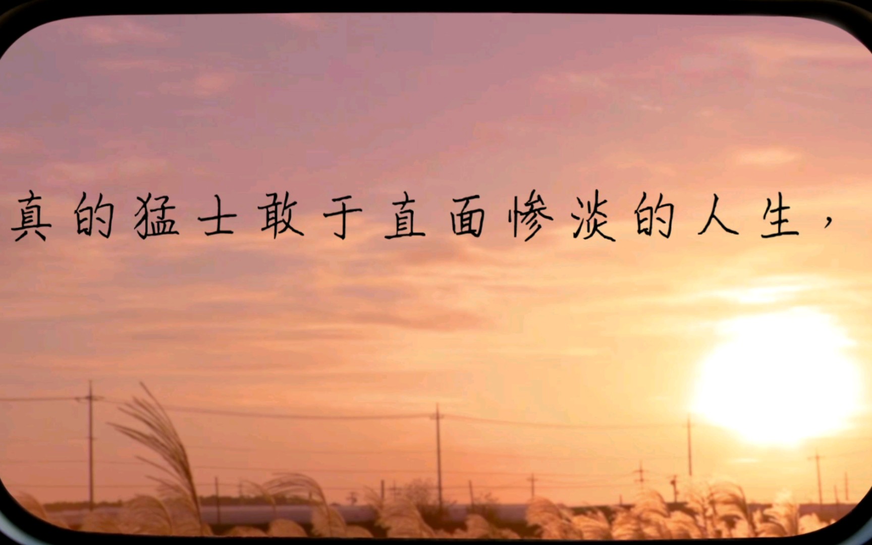 真的猛士敢于直面惨淡的人生鲁迅杂文3