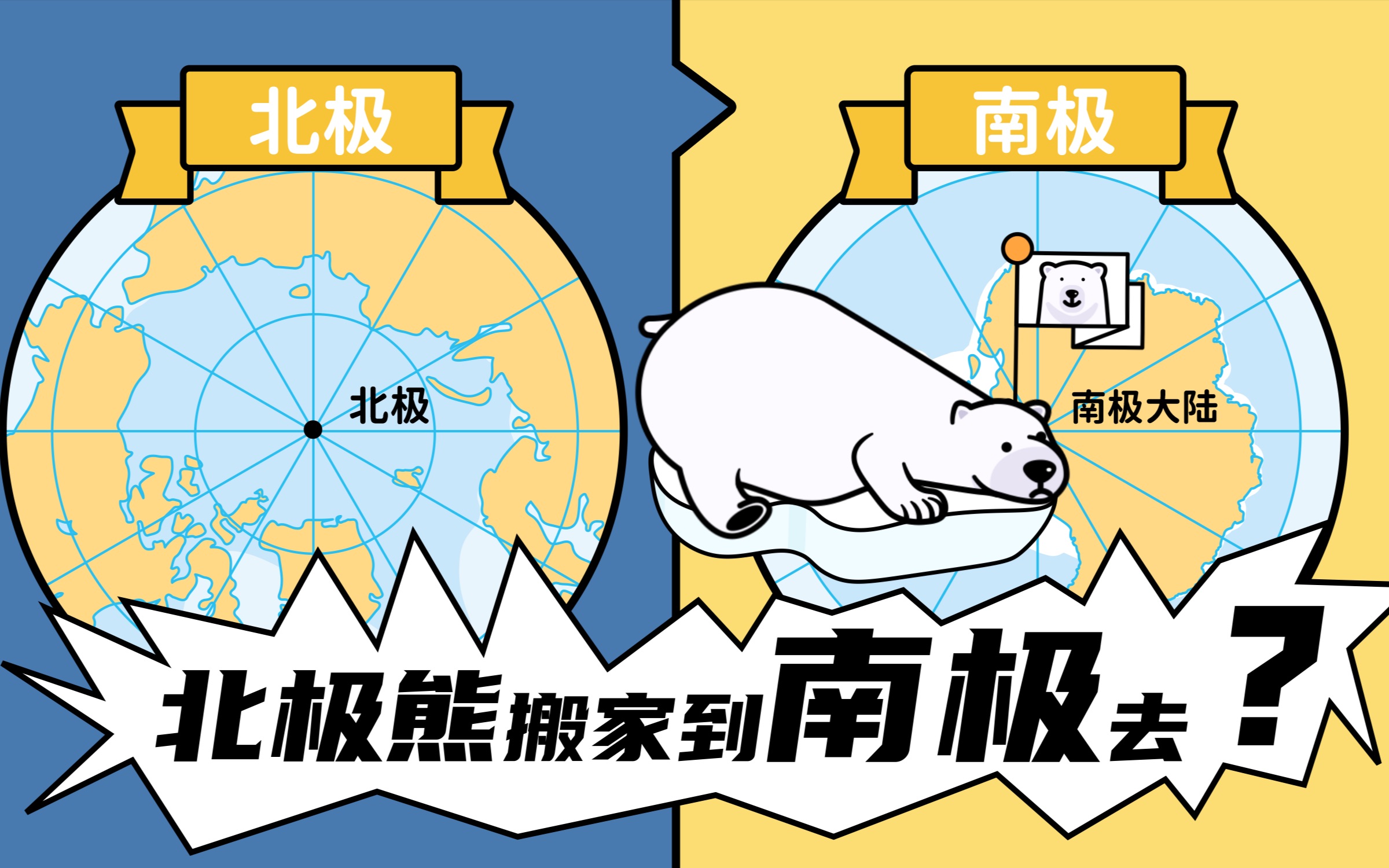 [图]落户南极能拯救北极熊吗？｜《螺说》第五期