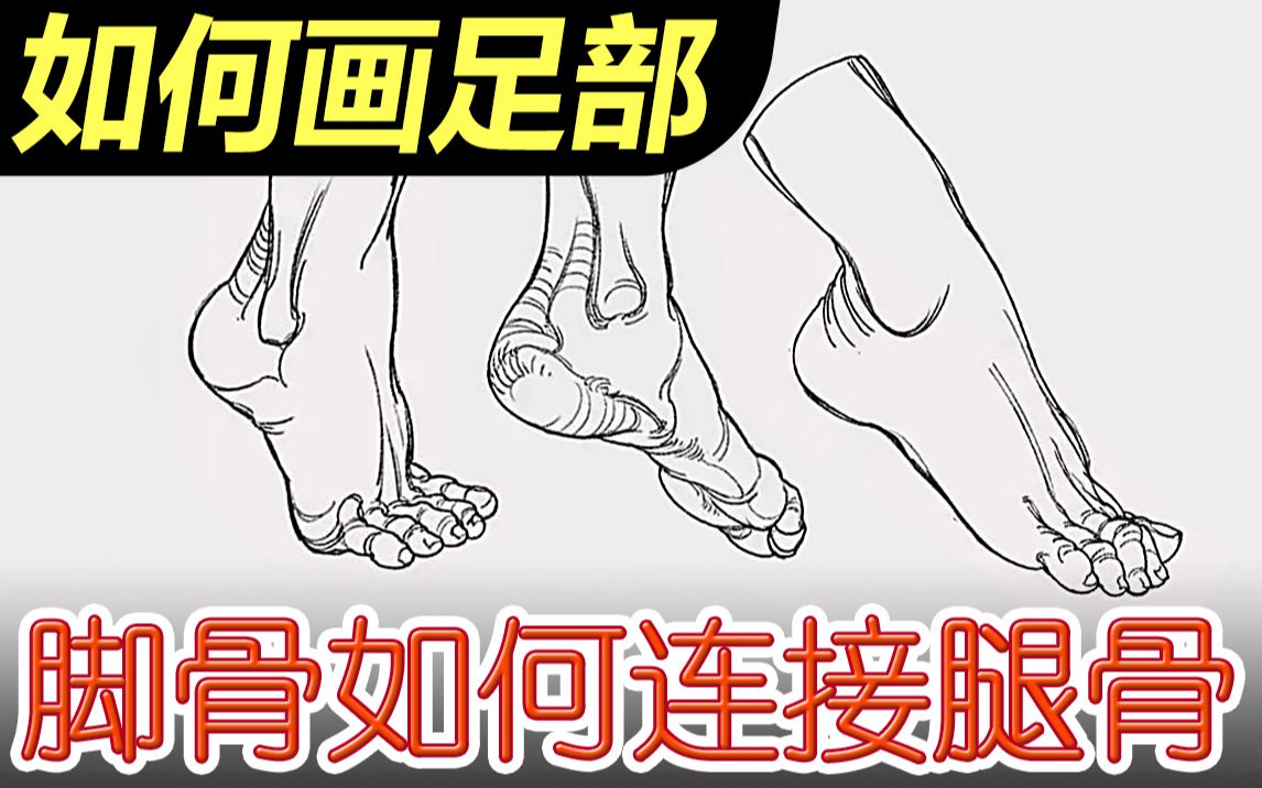 脚骨如何链接腿部骨骼?如何画足部06哔哩哔哩bilibili