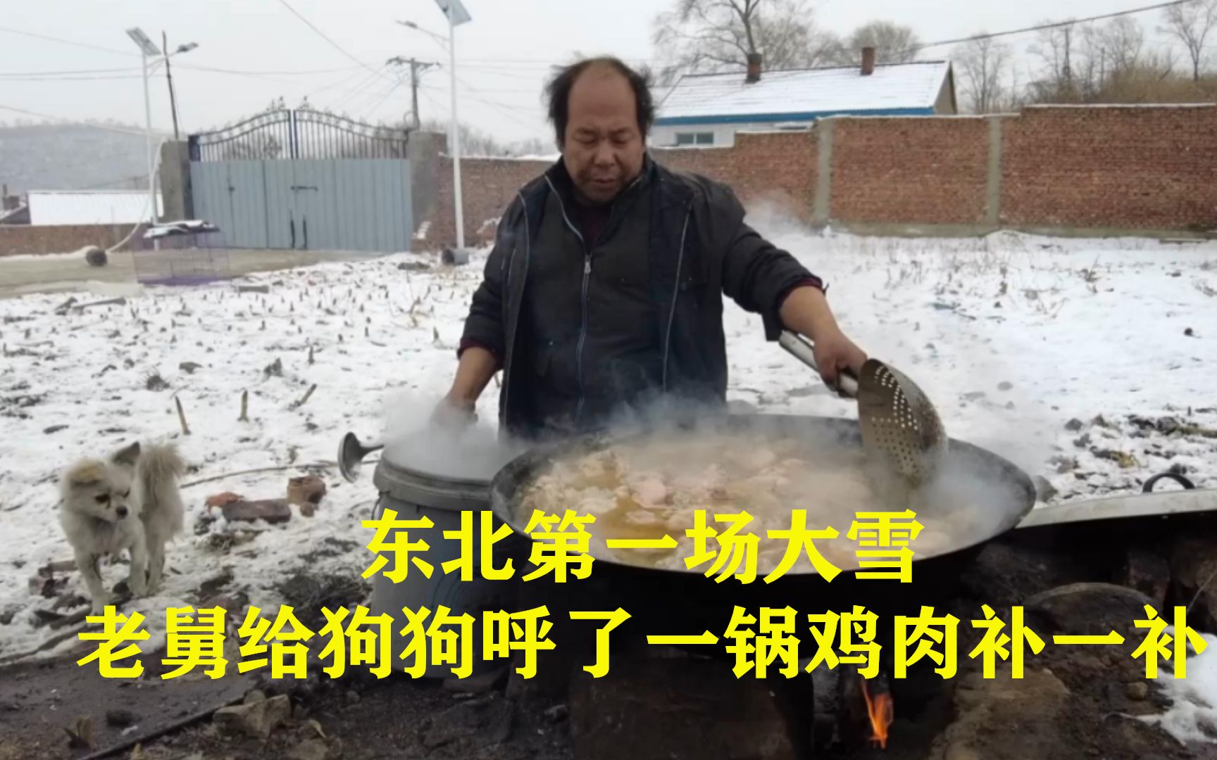 [图]东北11月第一场大雪，给流浪狗炖了一锅鸡肉，分分钟全被吃光