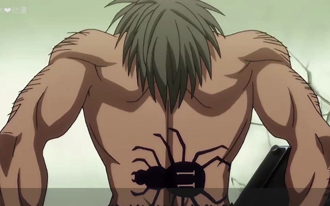 全职猎人,幻影旅团—窝金寻找皮卡复仇