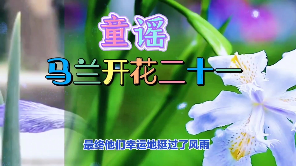 童谣"马兰开花二十一"背后的故事!