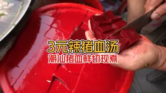 Télécharger la video: 3元“潮汕辣猪血汤”起了个大早就是为了吃这口鲜切现烫