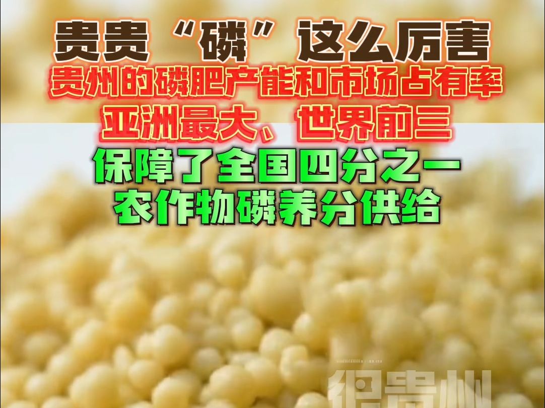 贵贵“磷”这么厉害!贵州的磷肥产能和市场占有率亚洲最大、世界前三,保障了全国四分之一农作物磷养分供给哔哩哔哩bilibili