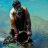 日本货船原油泄漏，造成毛里求斯海域生态灾难