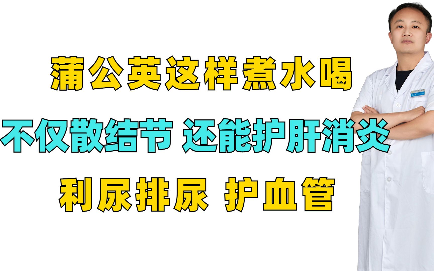 蒲公英这样煮水喝!不仅散结节,还能护肝消炎,利尿排尿,护血管哔哩哔哩bilibili