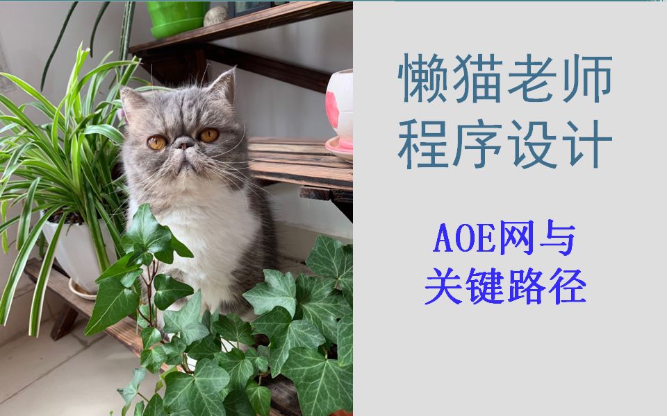 懒猫老师数据结构(52)AOE网与关键路径哔哩哔哩bilibili