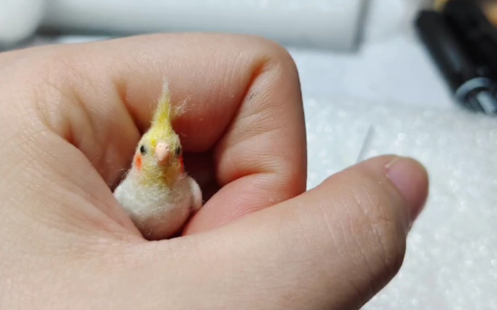 羊毛毡小鸟,迷你玄凤鹦鹉,太可爱了,我自己先爱了,过几天卖个小玻璃罩