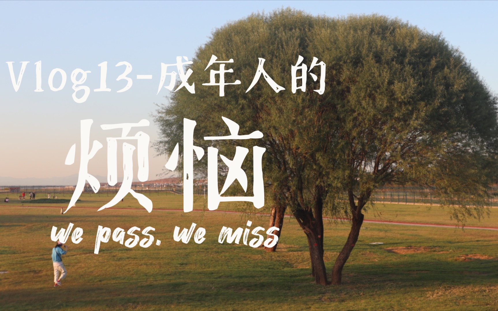 vlog13-成年人的烦恼