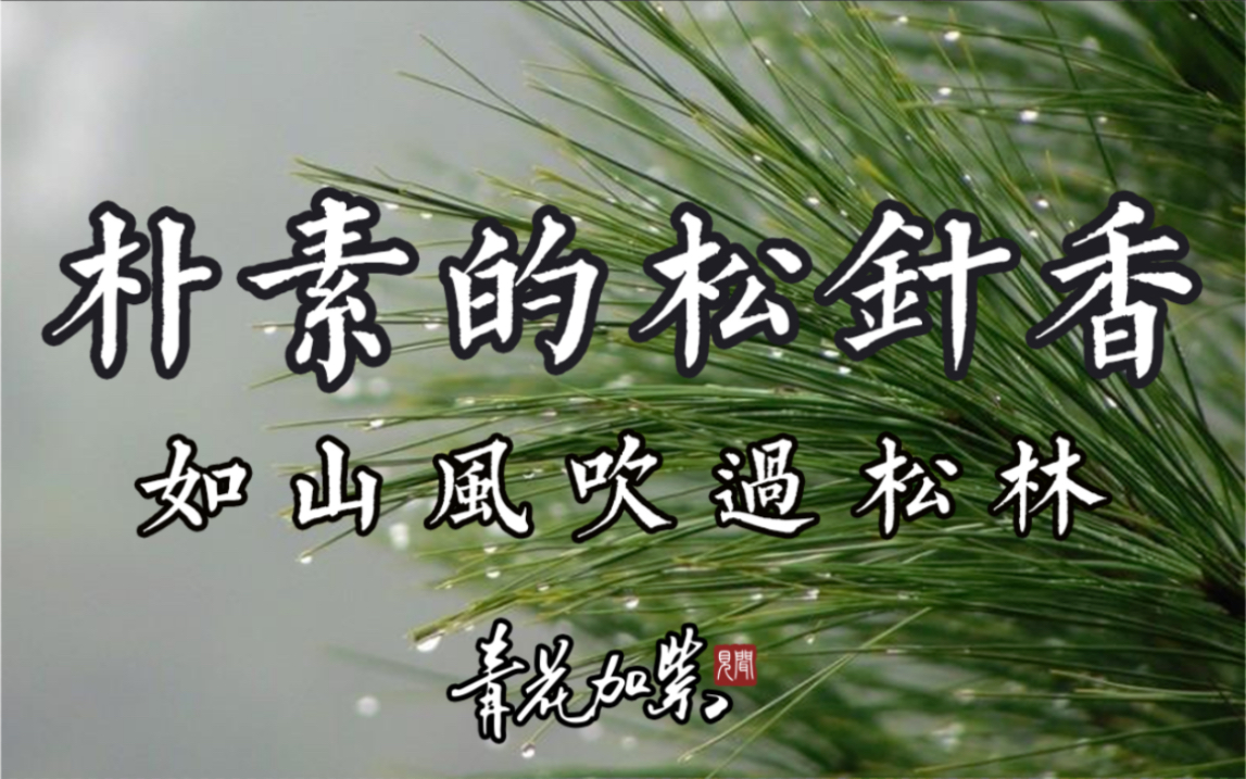 随手采撷松针入香,朴素的材料,不凡的香气!哔哩哔哩bilibili