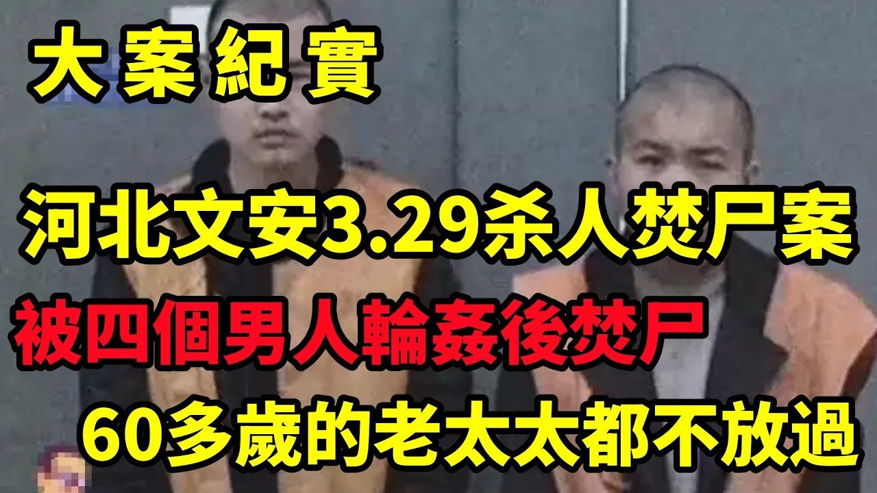 河北文安3ⷲ9抢劫杀人焚尸案,2010年大案,偷车、抢劫、杀人还焚尸,4个小伙联手制造惊天血案|大案纪实哔哩哔哩bilibili