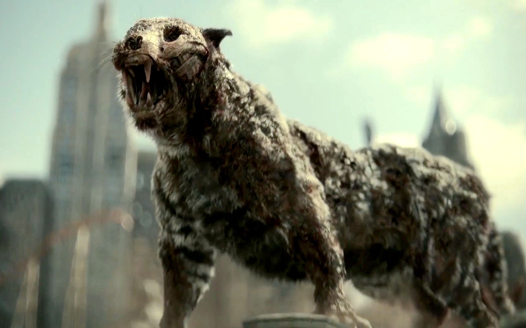 当老虎变成了丧尸才是噩梦真正的开始