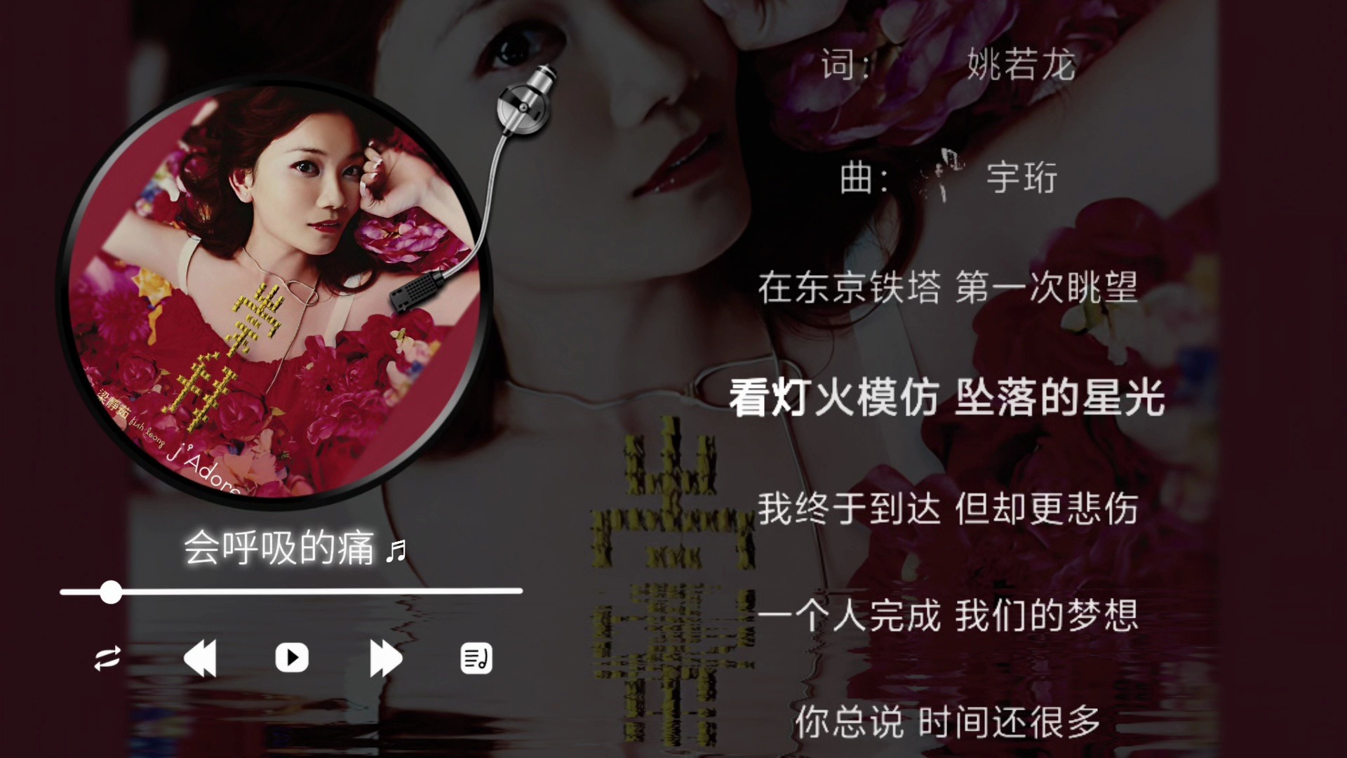梁静茹-会呼吸的痛（伴奏）