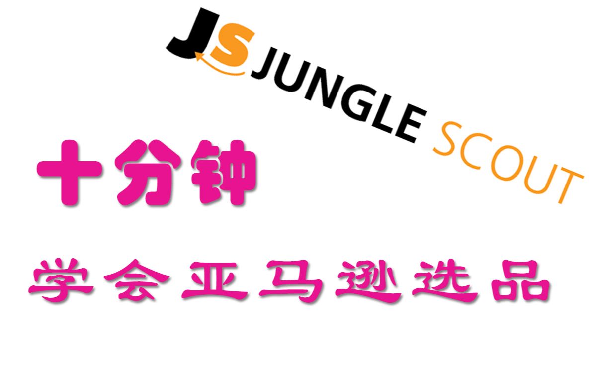 如何利用JungleScout选品 —— 亚马逊选品的基本思路哔哩哔哩bilibili