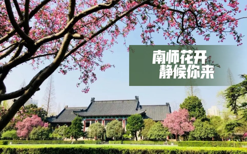 南京师范大学2021台州市黄岩中学宣讲录播哔哩哔哩bilibili