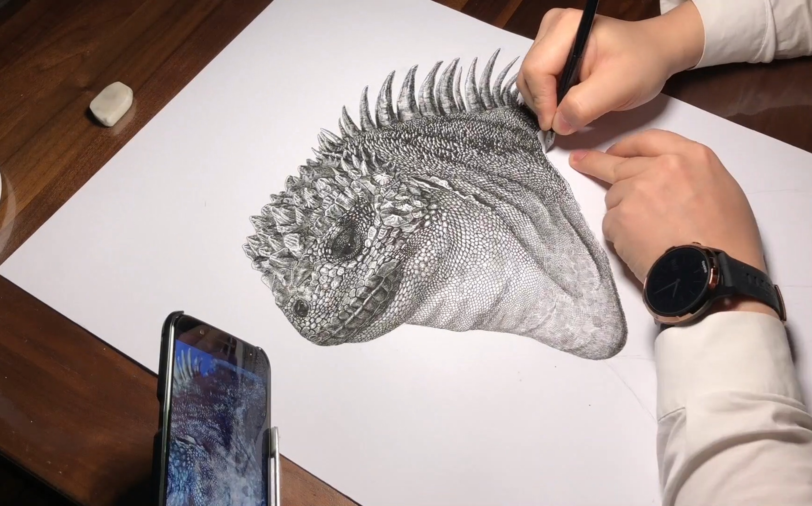 钢笔画《海鬣蜥》绘画全程_哔哩哔哩_bilibili
