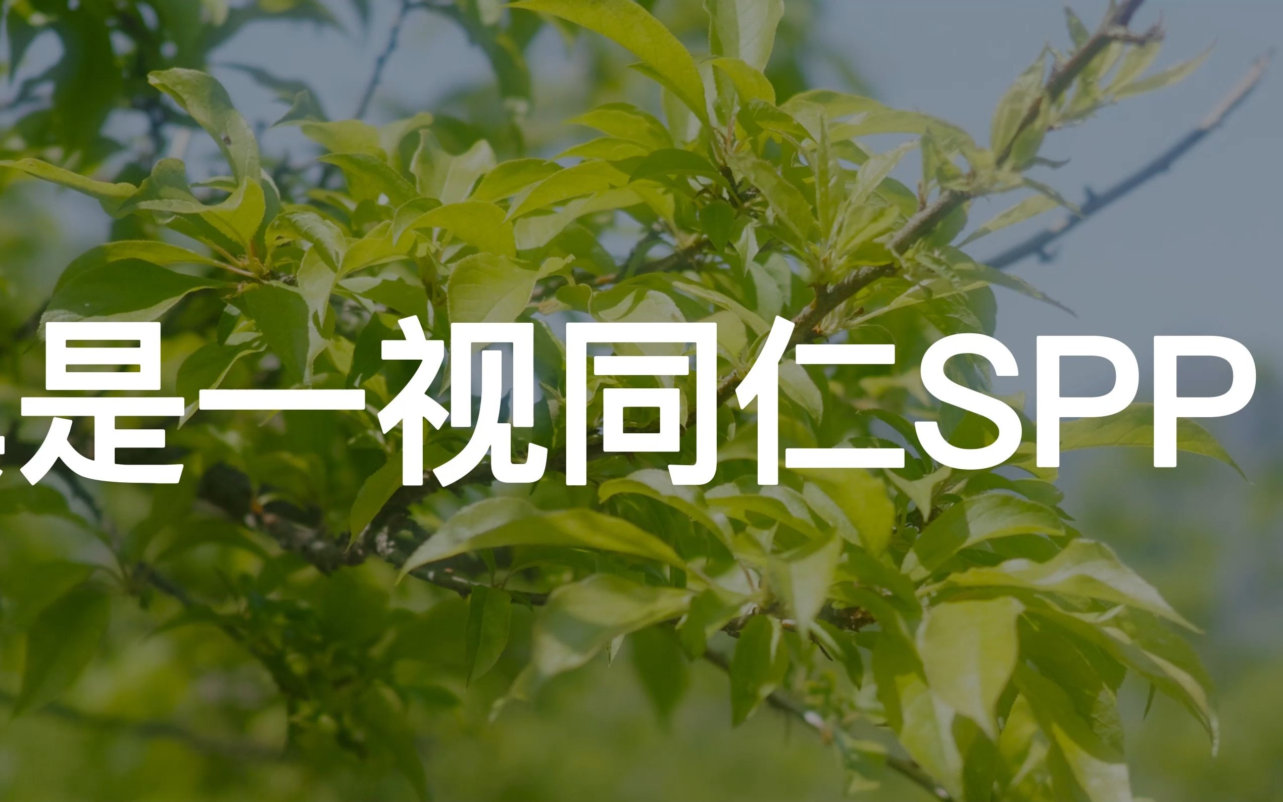 【适马Q系列】更接近预览图——适马SPP新调整思路分享,适合用于大批量导出素材的方法哔哩哔哩bilibili