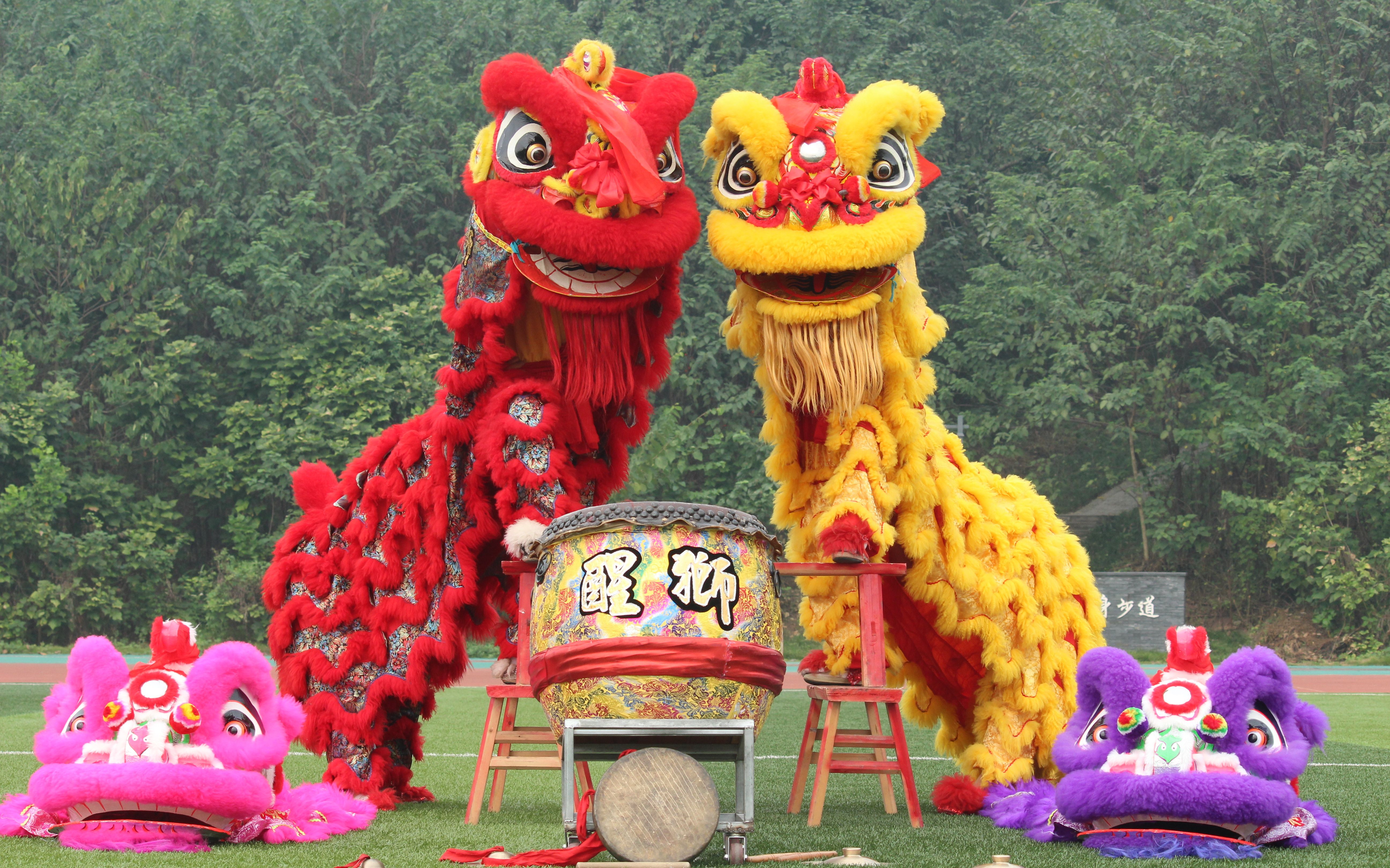 2018年五四青年节舞狮表演(凳狮)_哔哩哔哩_bilibili