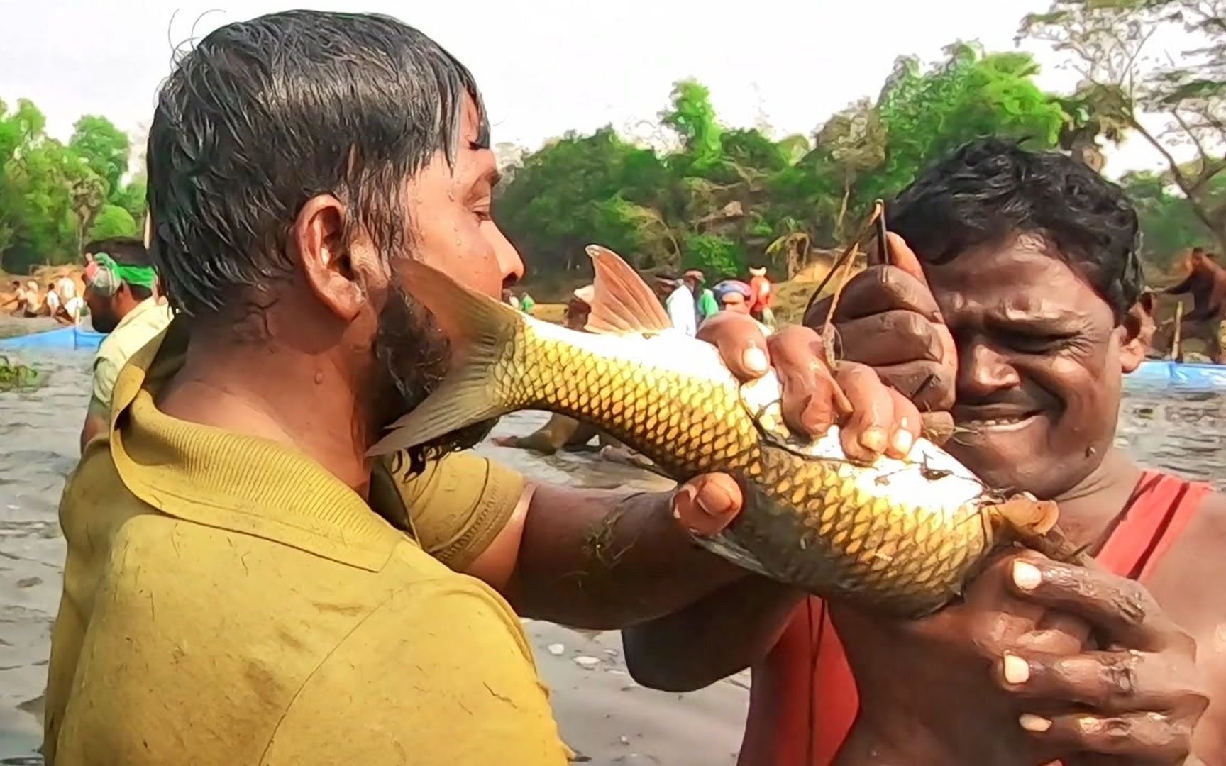 农村抓鱼达人:孟加拉全村民下鱼塘捕鱼,场面很壮观!