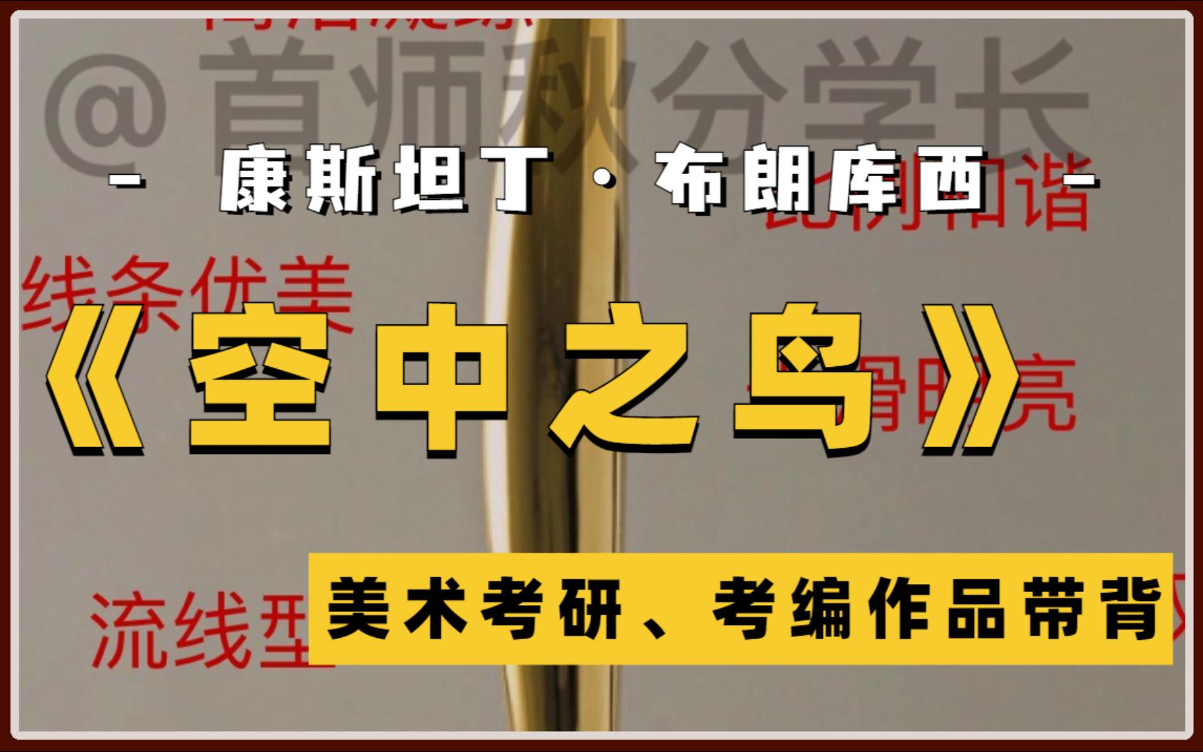 布朗库西雕塑——《空中之鸟》首都师范大学美术考研、考编作品带背哔哩哔哩bilibili