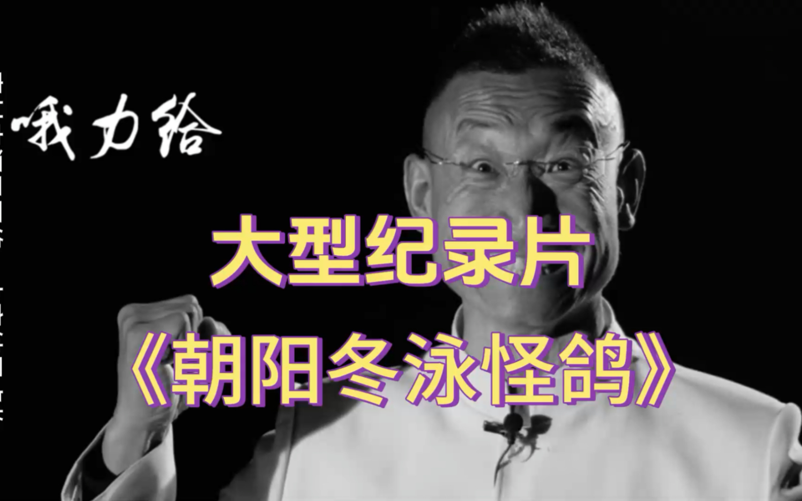 大型纪录片《冬泳怪鸽奥利给》