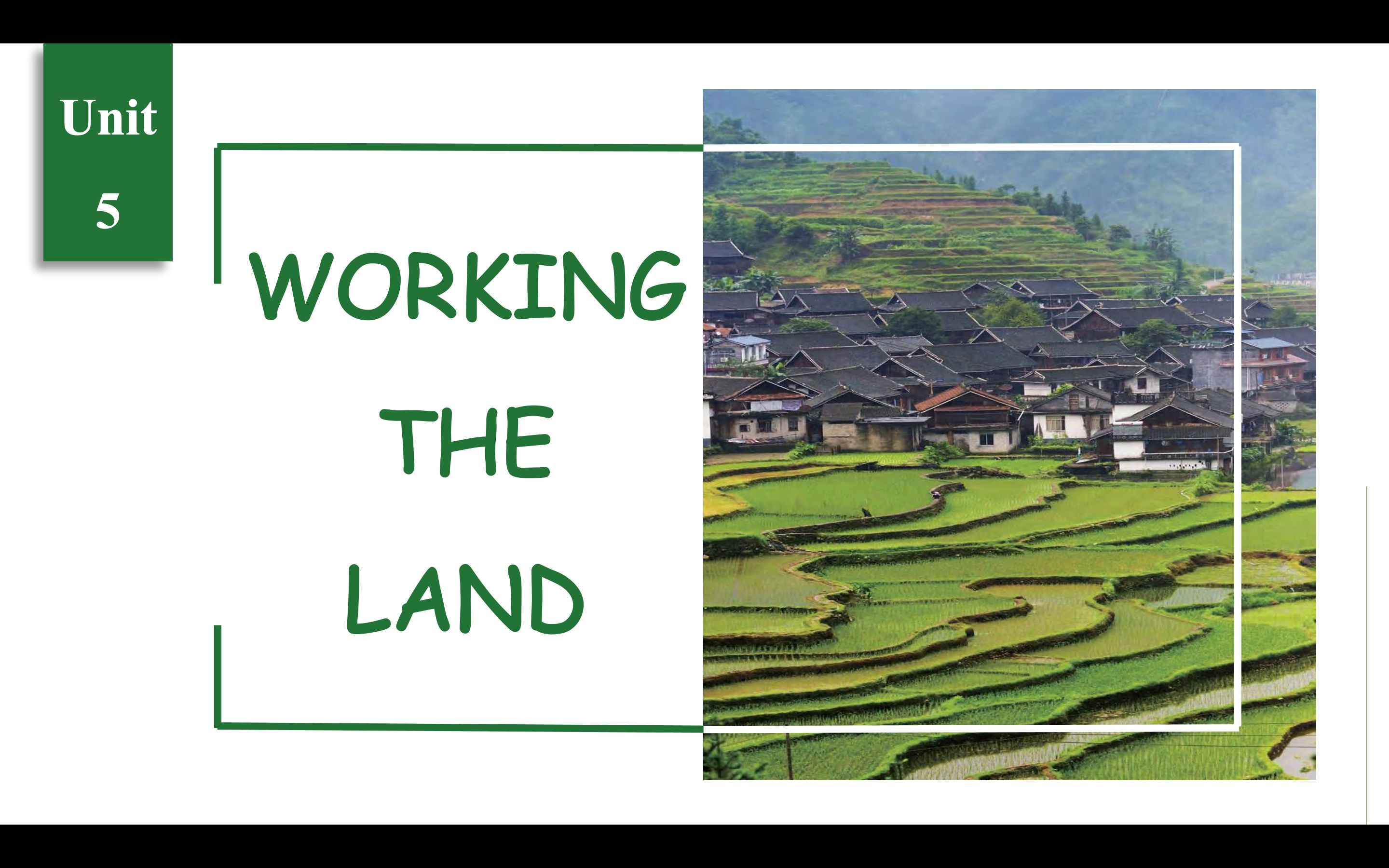 [图]新人教选修一Unit 5 Working the Land 《A Pioneer for All People》阅读课授课思路和教学课件