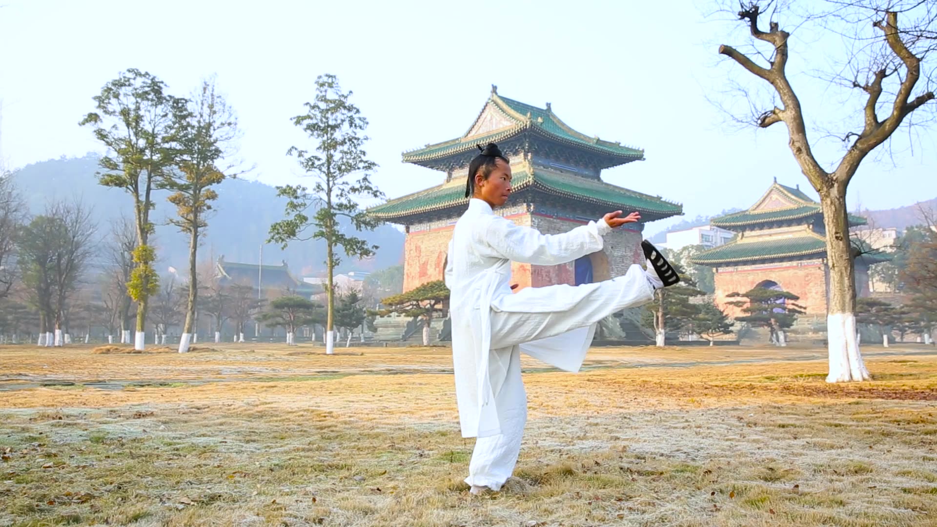 武当太乙五行拳 毛佳伟