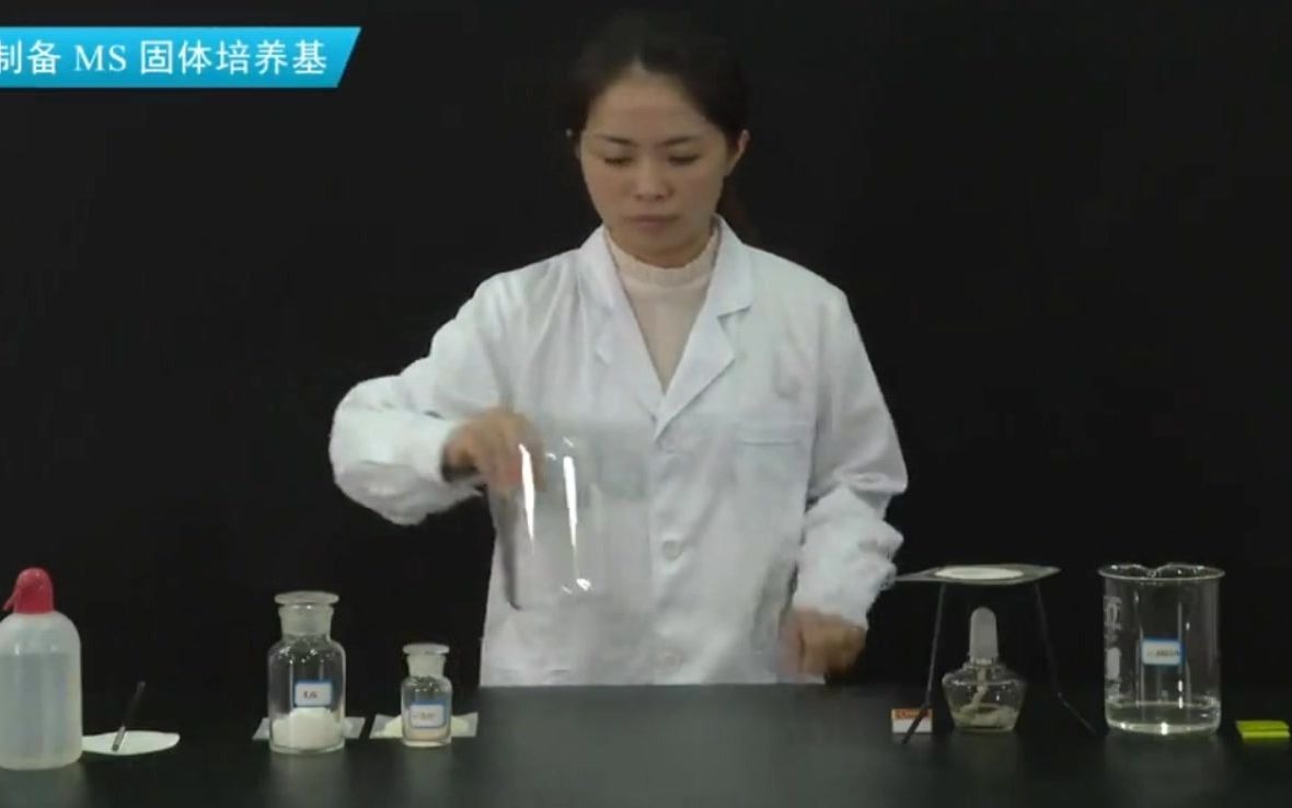 高中生物选修三菊花的组织培养哔哩哔哩bilibili