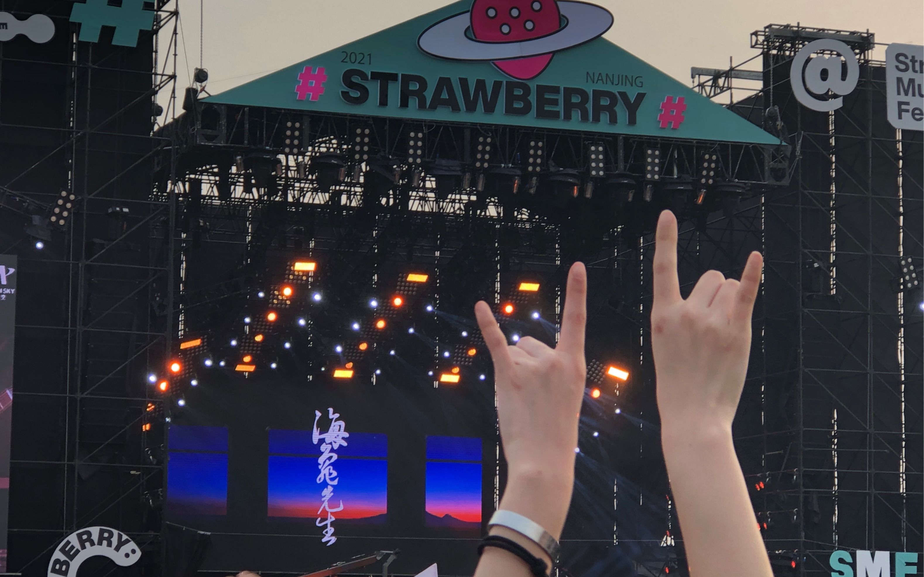 男孩别哭海龟先生2021南京草莓音乐节