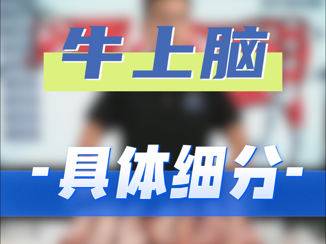 上脑分类哔哩哔哩bilibili