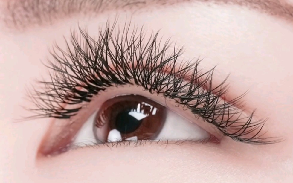 夏天做个美美的睫毛吧,浓密款首选w型睫毛