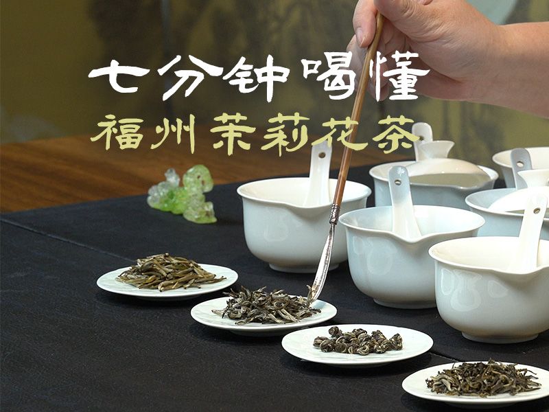 七分钟喝懂福州茉莉花茶哔哩哔哩bilibili