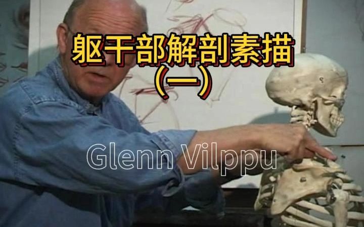 Glenn 中文讲解 躯干部解剖素描(一)哔哩哔哩bilibili