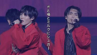小泉光咲21rd BIRTHDAY_哔哩哔哩_bilibili