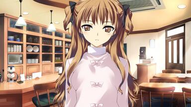 WHITE ALBUM》如月小夜子全相簿事件鉴赏【4K/60FPS】（已完结）_