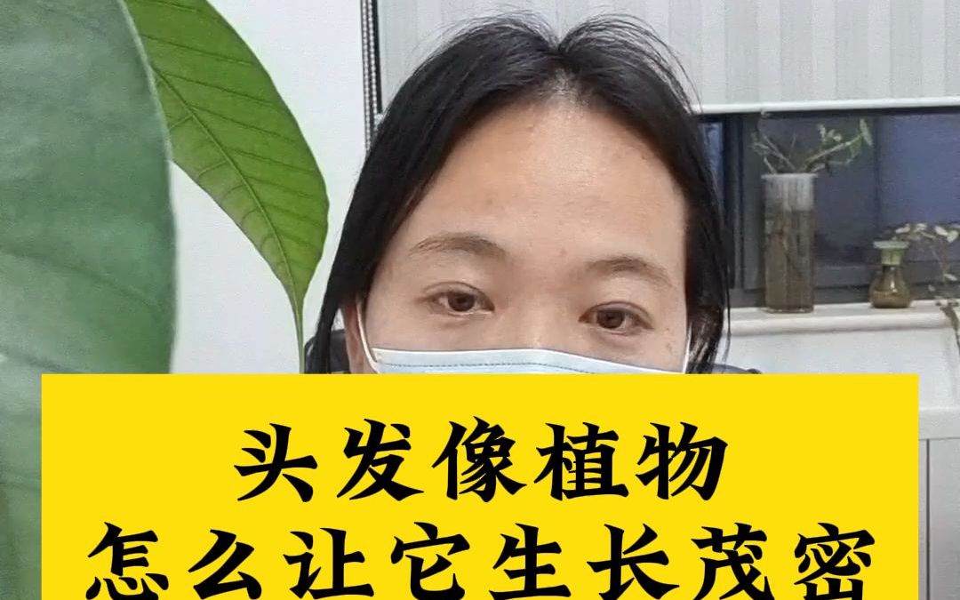 头发像植物,怎么让它生长茂密?
