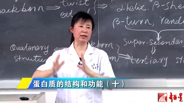 生物化学山东大学:刘志方哔哩哔哩bilibili