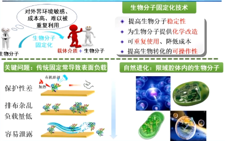 20210823南开大学陈瑶固定化生物大分子:面向生物化工和生物医药应用的平台化创制哔哩哔哩bilibili