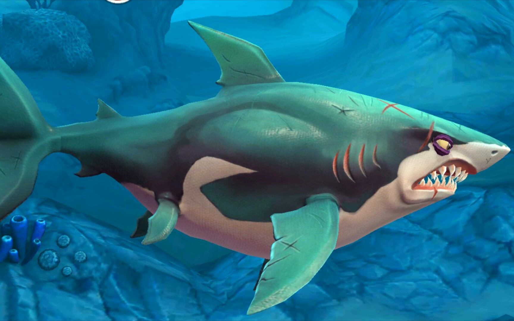 饥饿鲨世界鲨鱼大全图图片