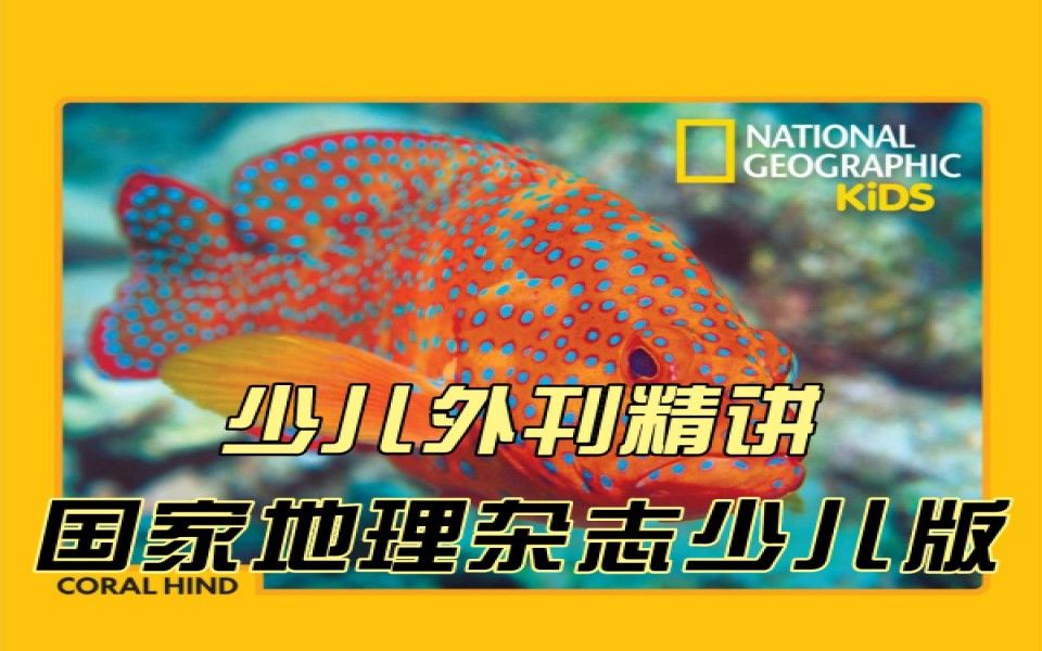 [图]国家地理杂志少儿版National Geographic Kids 少儿外刊精讲（1）