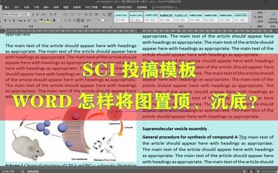 SCI投稿word模板,怎样将绘图置顶、沉底?哔哩哔哩bilibili