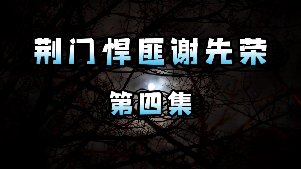 长篇大案故事荆门悍匪谢先荣四