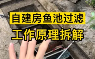 Télécharger la video: 自建房鱼池过滤系统究竟是什么原理？今天通过视频拆解原理给大家看