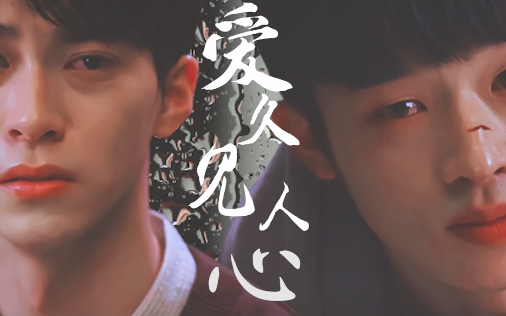 你的目光所及之处双视角爱久见人心果粥cp在你视线停留的地方