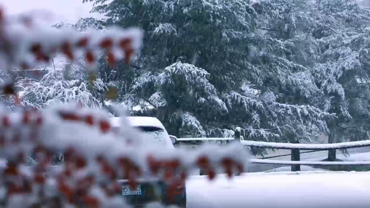 美丽的雪景哔哩哔哩bilibili