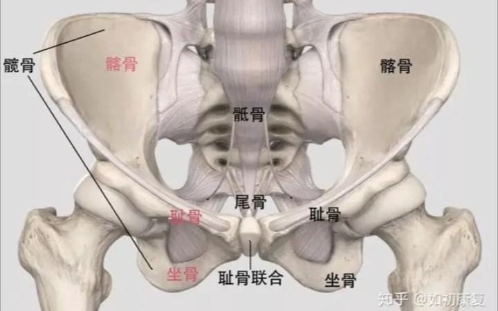 [图]【吴维叔】吴式方架太极拳（完整套路）