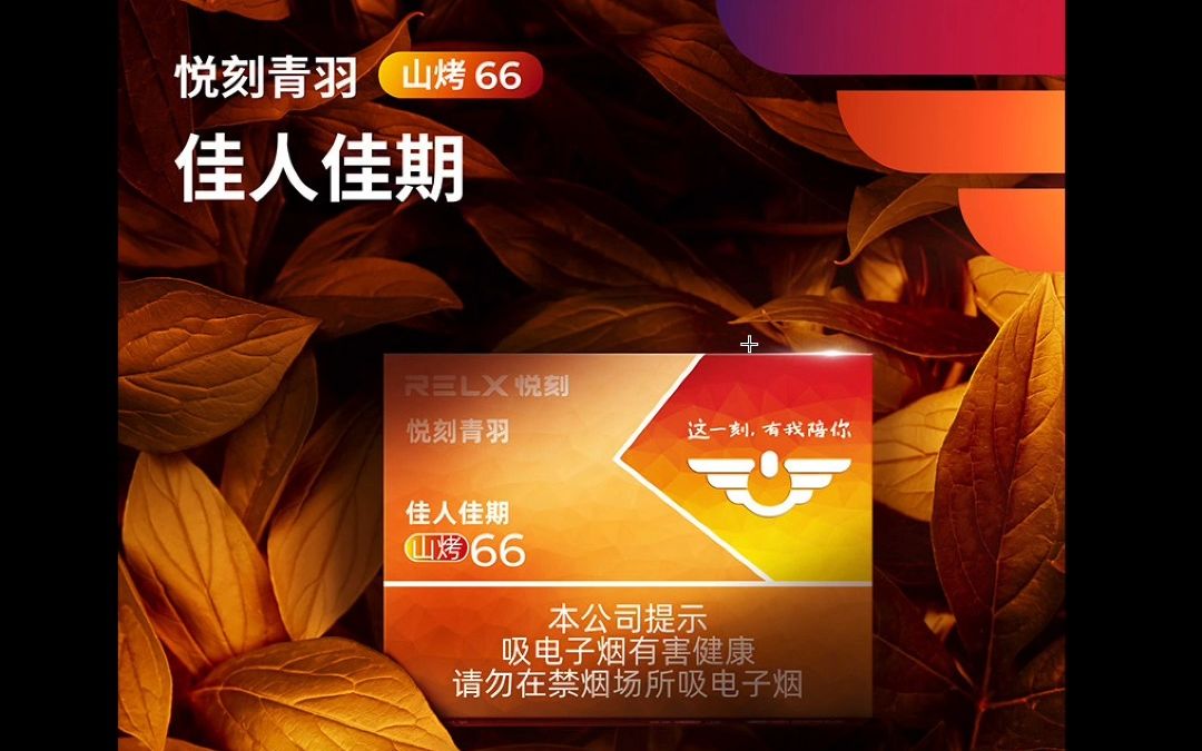 relx悦刻青羽山烤66佳人佳期国标烟弹图文讲解视频