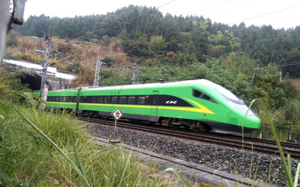 fxd3-j0039牵引c740次列车(阆中D重庆北)出囊♂肿站