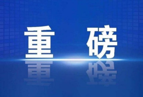 法律面前没有网红!“小虎行”被拘,咎由自取!哔哩哔哩bilibili